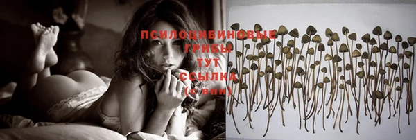 прущая мука Алзамай