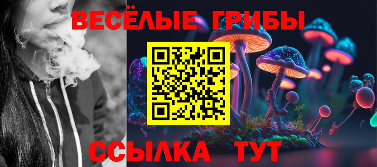 Кимры  Псилоцибиновые грибы Magic Shrooms  Вход с VPN 